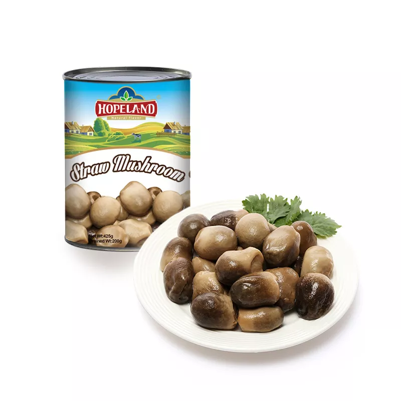 Champignon paille 425g HOPELAND