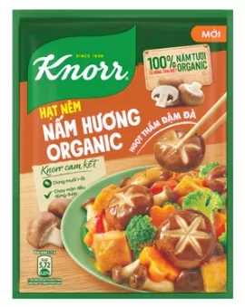 Bouillon végétal au champigon 380G  KNORR